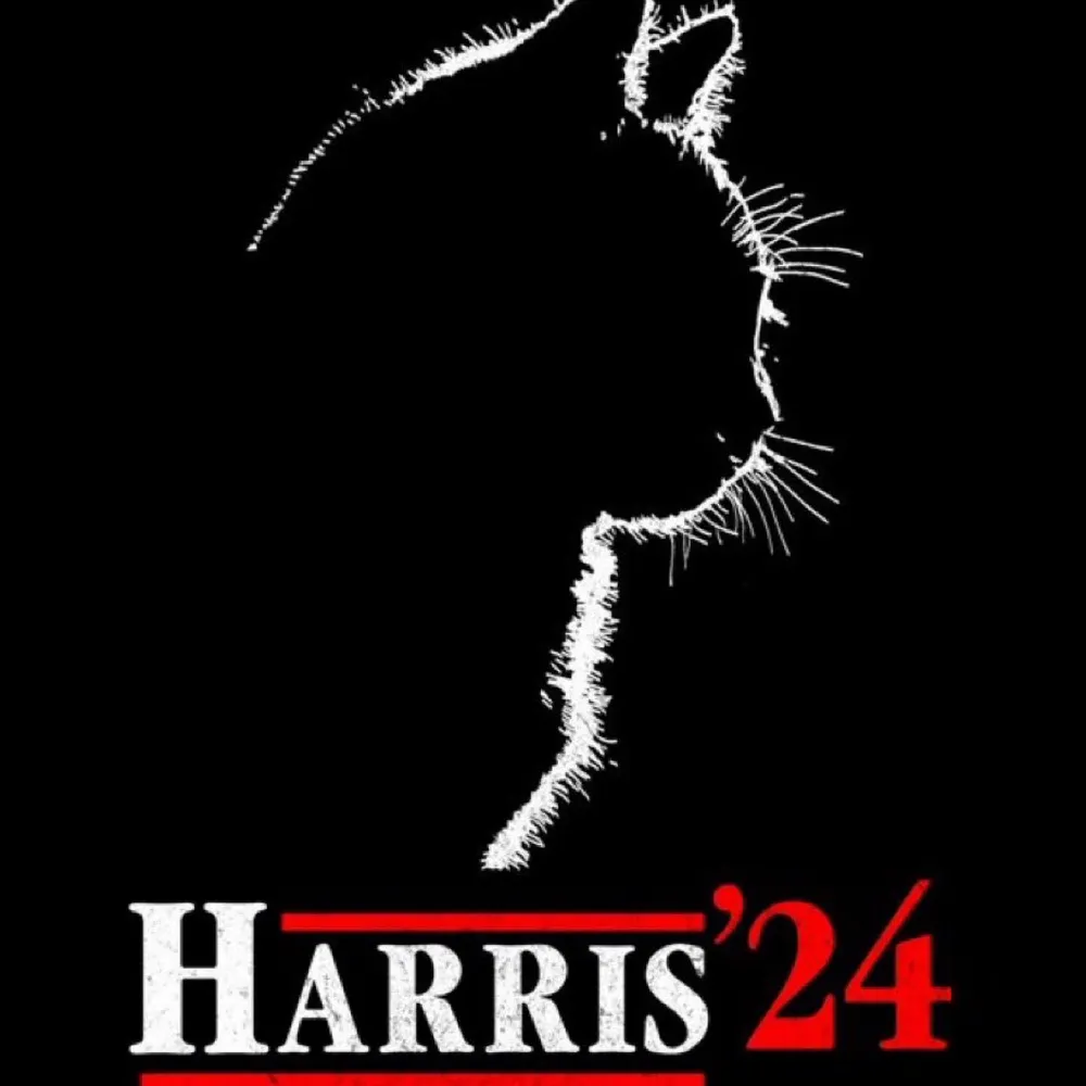 traceycavasin.bsky.social's profile picture