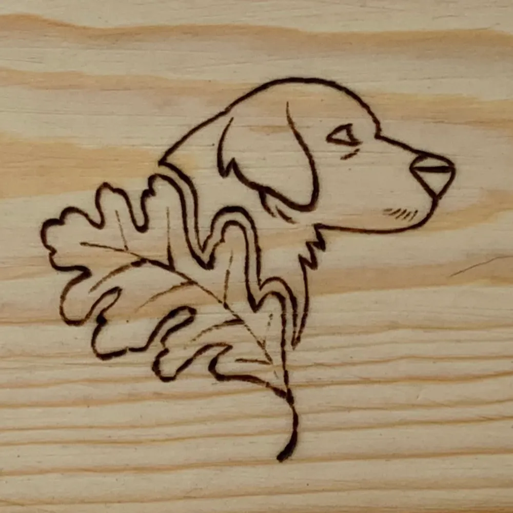 oakeydogtradingco.bsky.social's profile picture