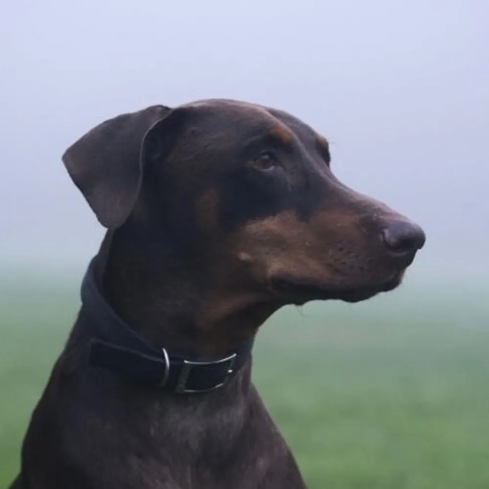 timnfeinstein.bsky.social's profile picture