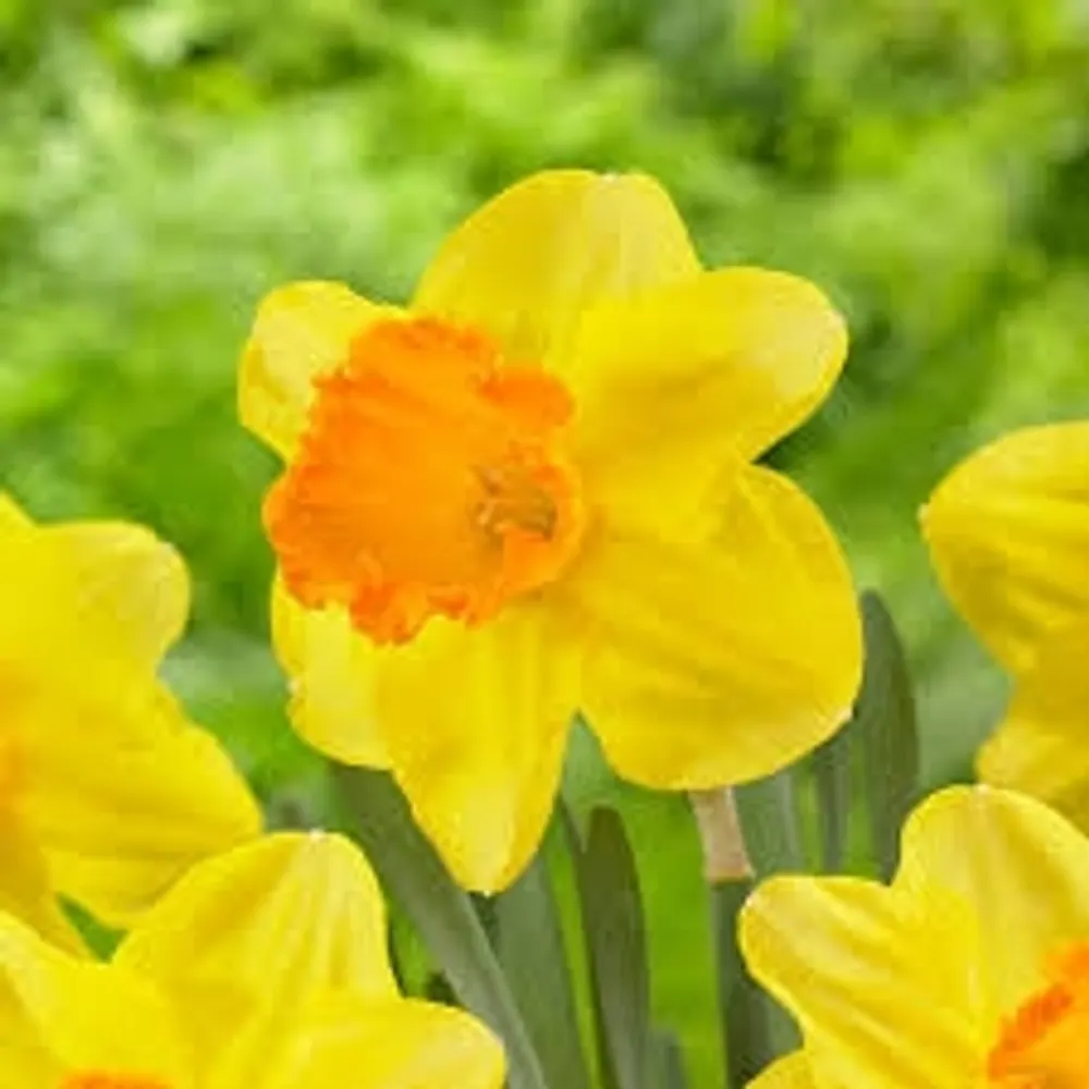 malachydiscontent.bsky.social's profile picture