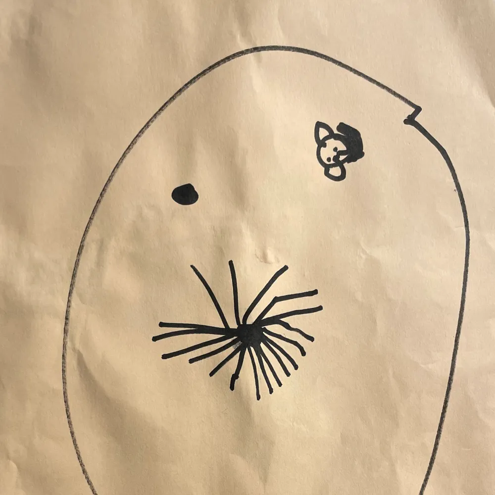 docmcgraw.bsky.social's profile picture