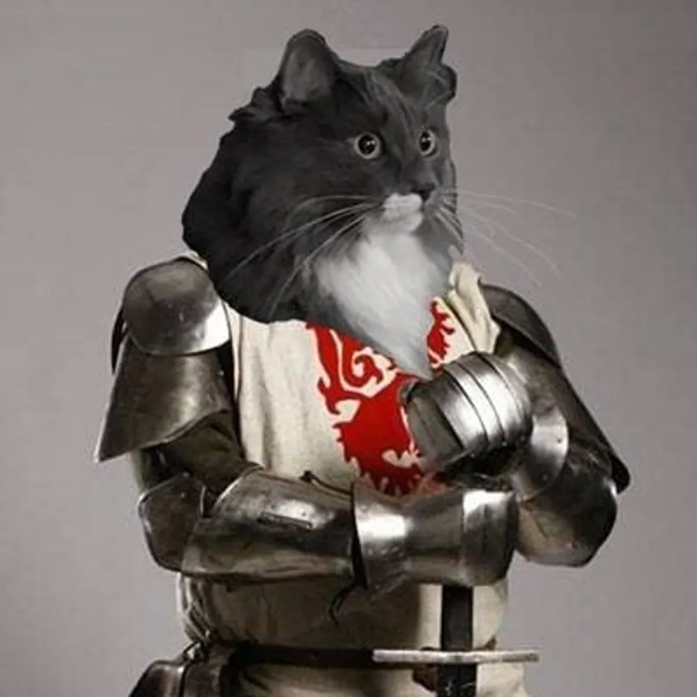 thewhaleshark.bsky.social's profile picture