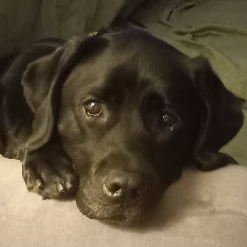 j-leslie3k.bsky.social's profile picture