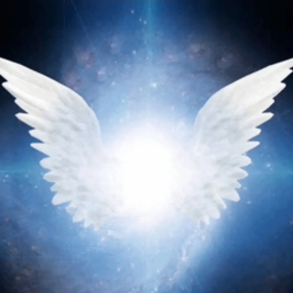 angelisi.bsky.social's profile picture