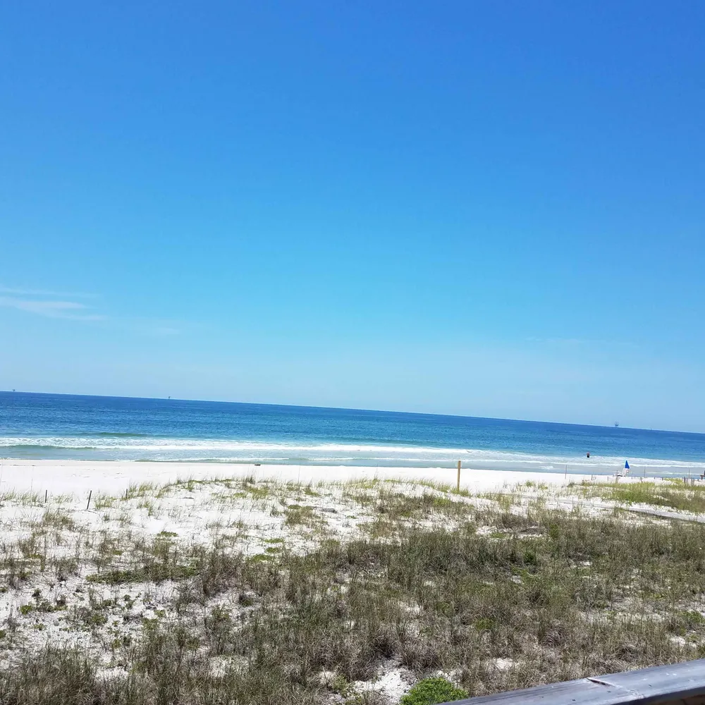 vickymozart5.bsky.social's profile picture