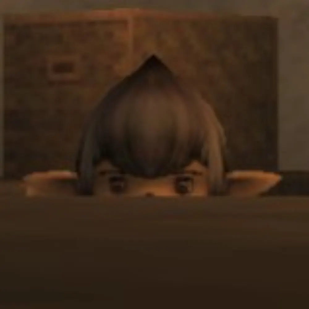 ziyyigo-tipyigo.bsky.social's profile picture