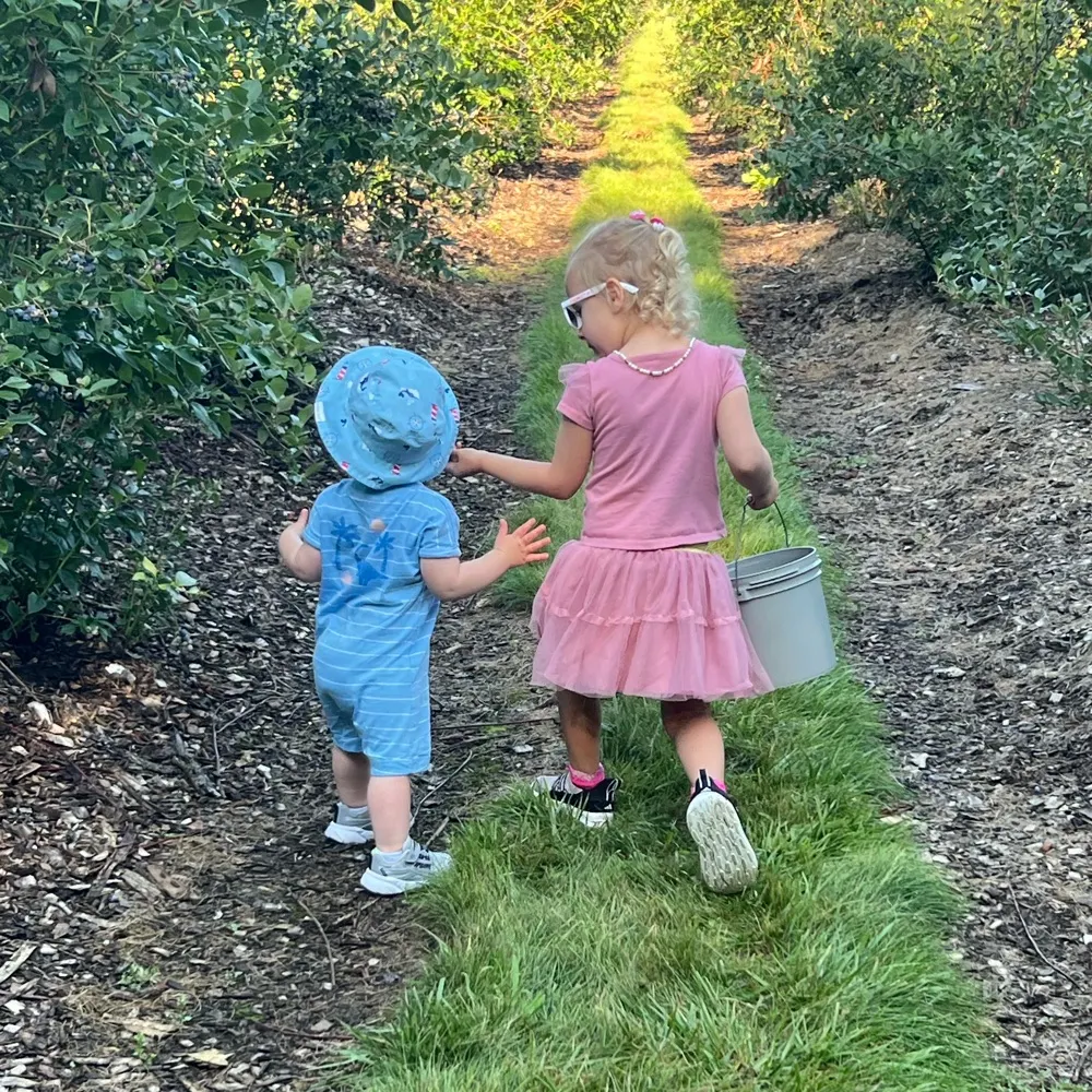 sdonaworth.bsky.social's profile picture