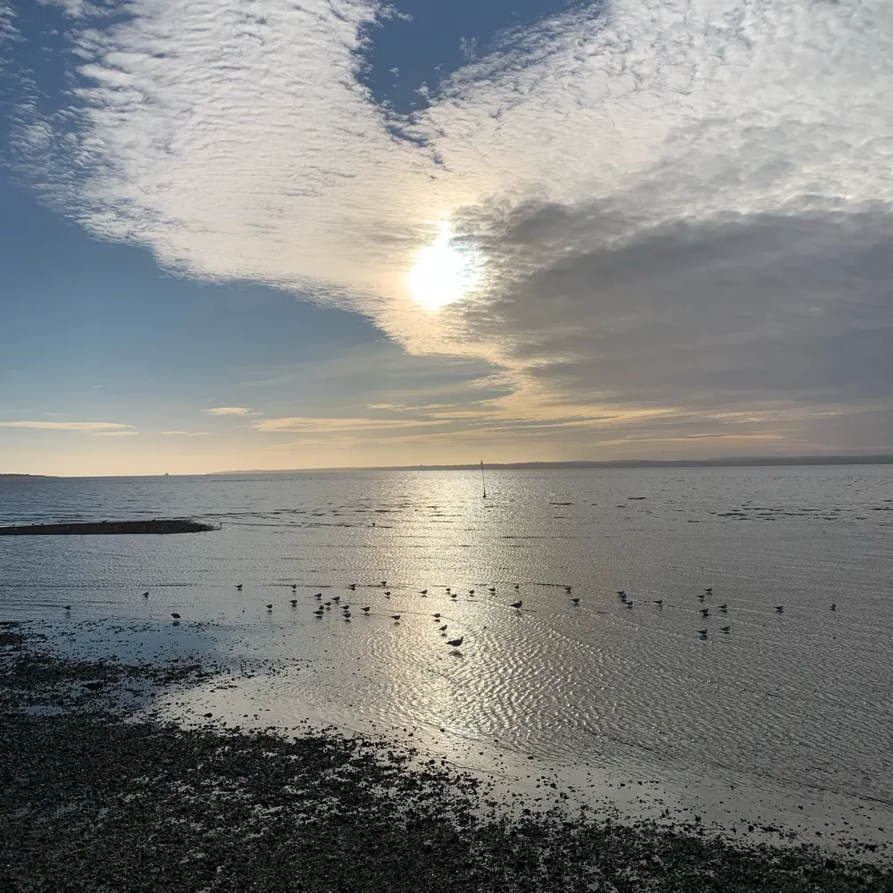 msbluewednesday.bsky.social's profile picture