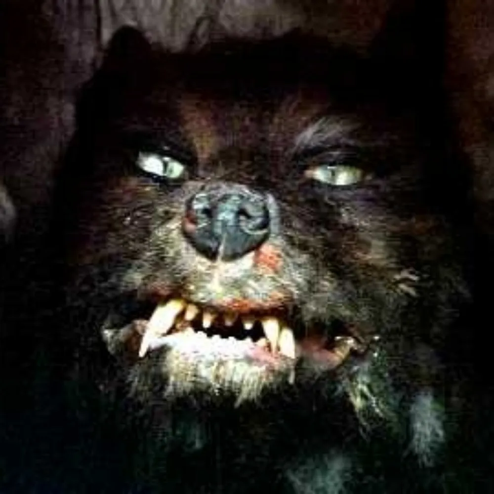 gm0rk.bsky.social's profile picture