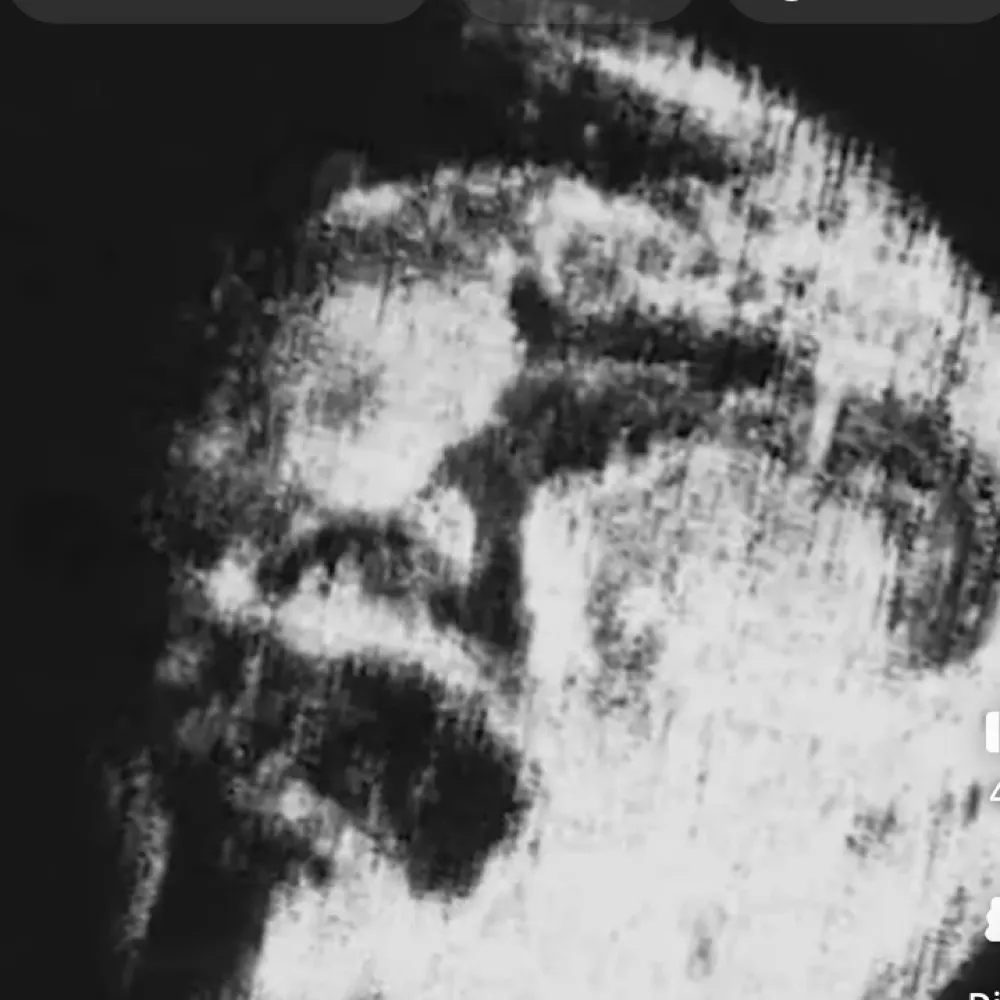 zennjnothing.bsky.social's profile picture