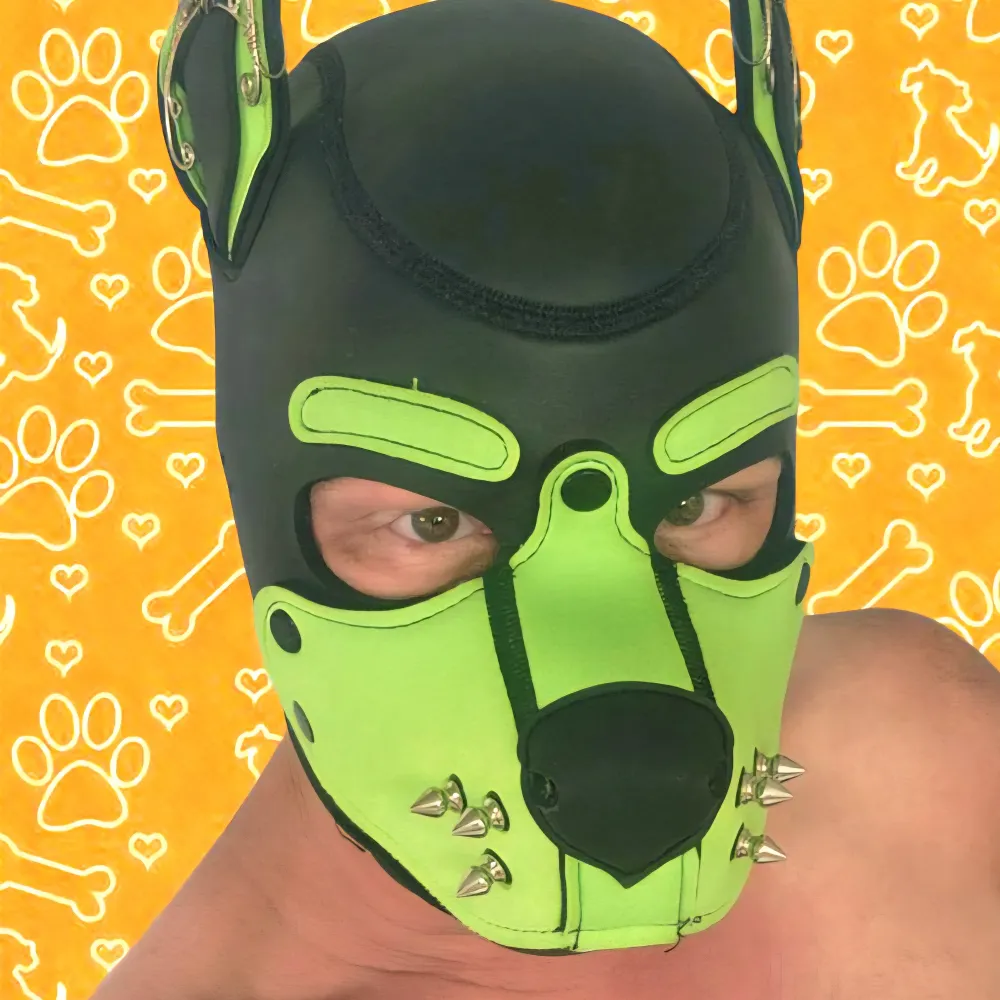 pupraistlin.bsky.social's profile picture