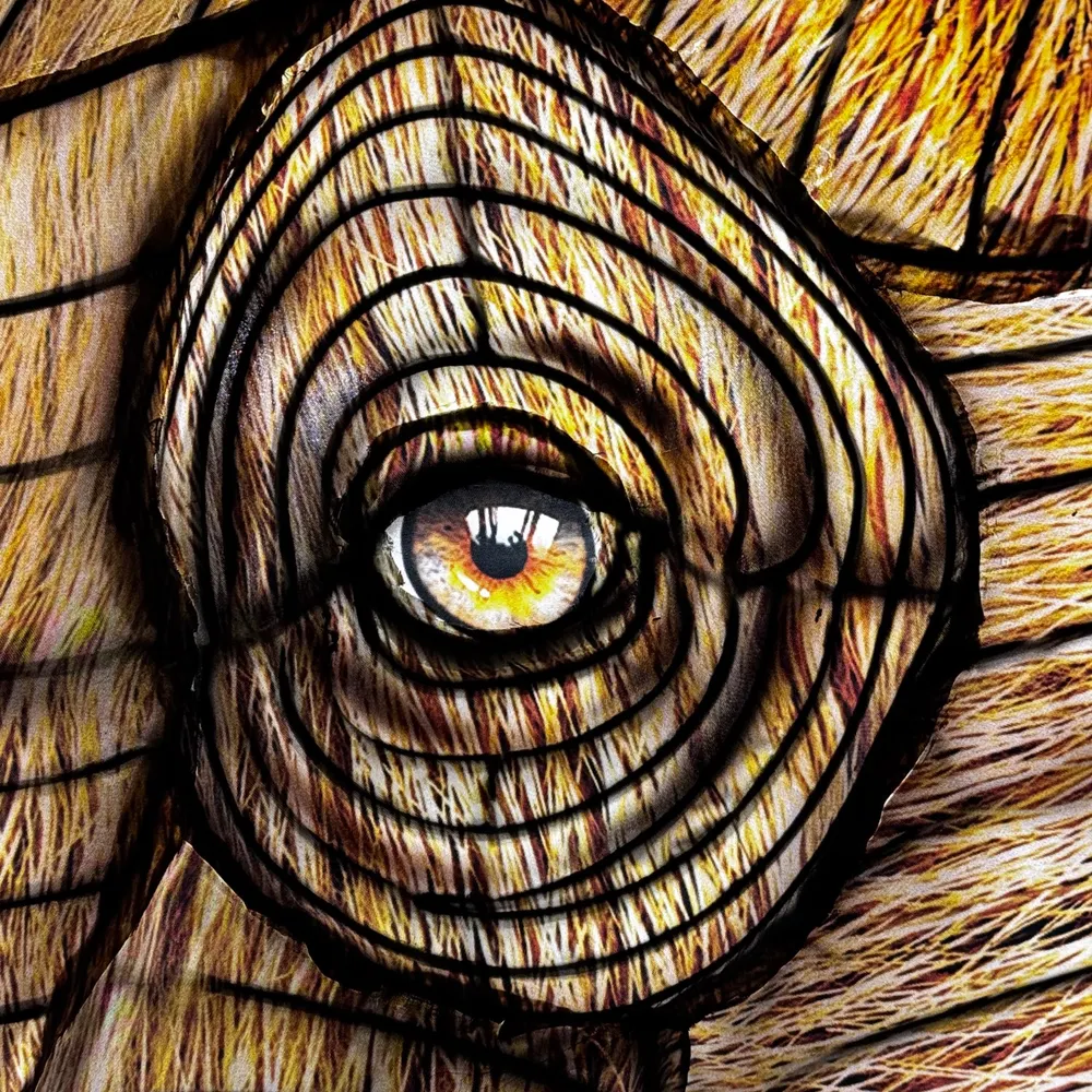 cologne.eurosky.social's profile picture