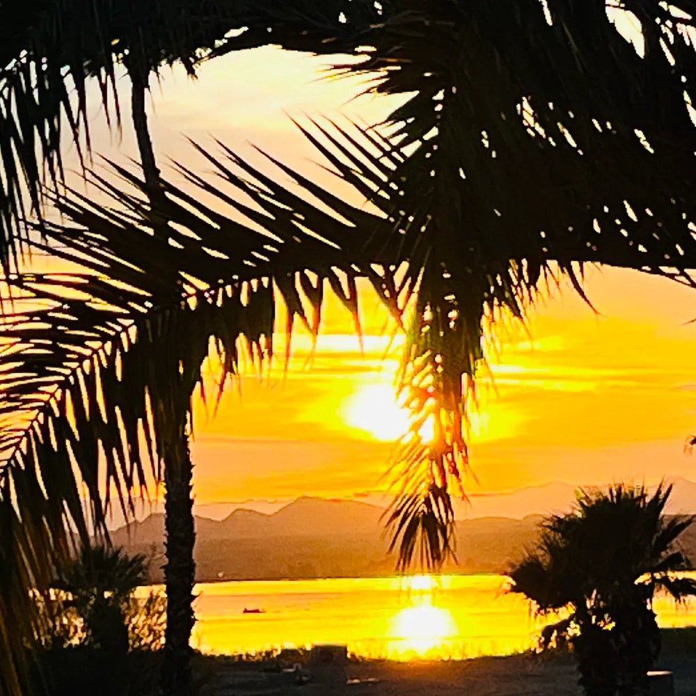 olb4ever.bsky.social's profile picture