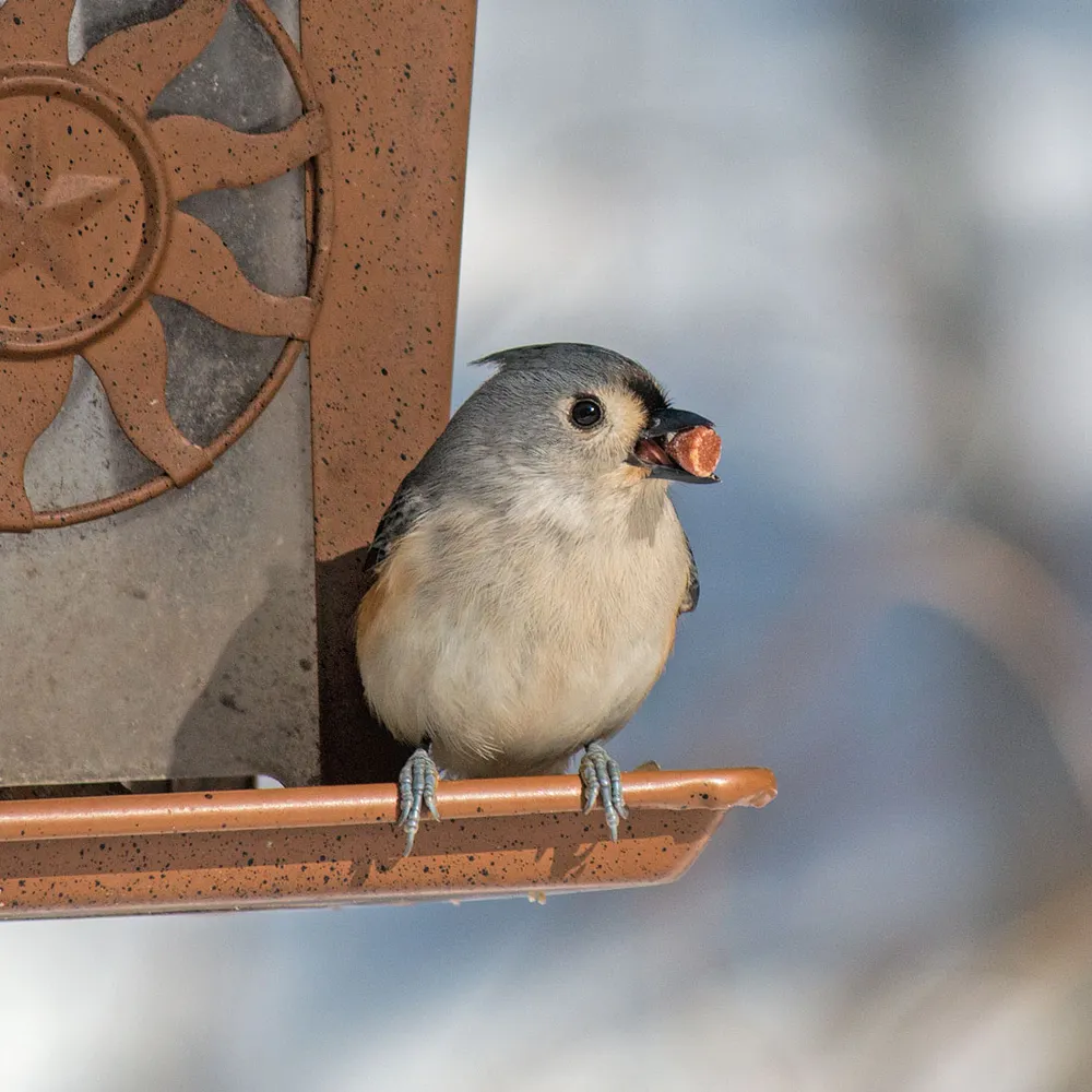 wzrdprang.bsky.social's profile picture