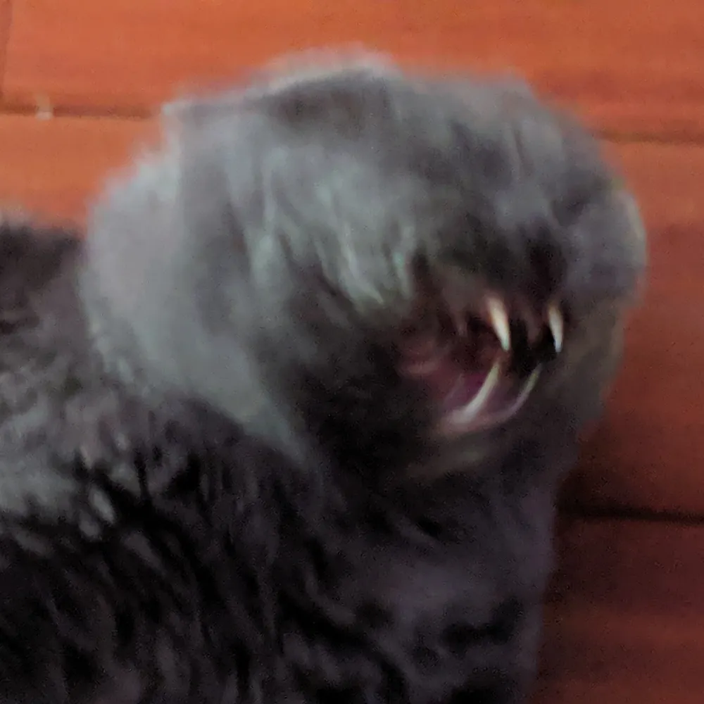 junholau.bsky.social's profile picture