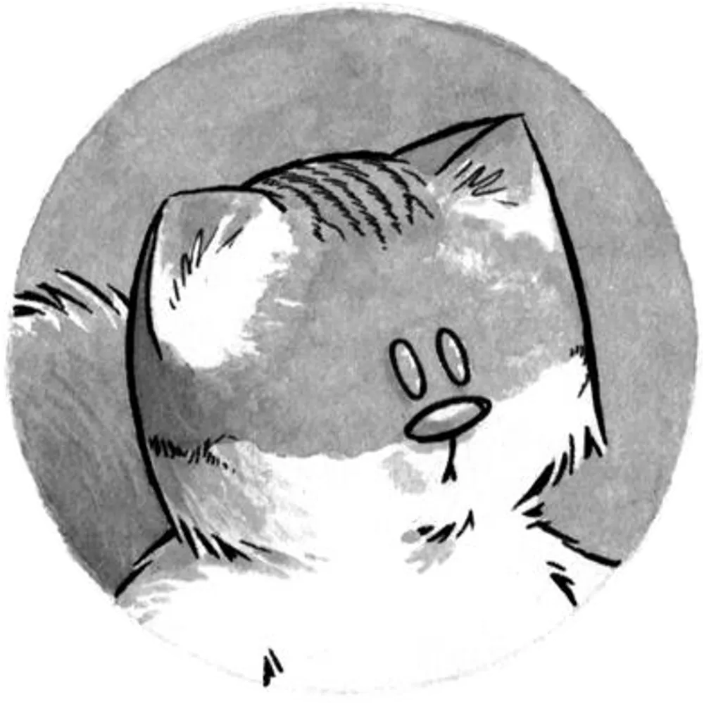 renatozechetto.bsky.social's profile picture