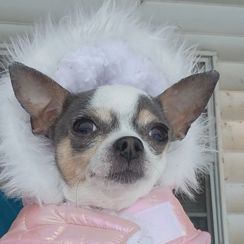 blacklicoricepoker.bsky.social's profile picture