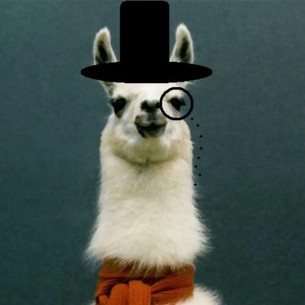 pickledllama.bsky.social's profile picture