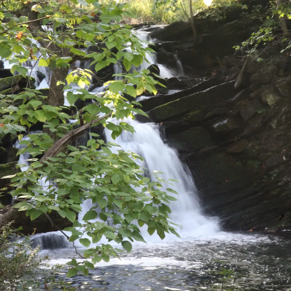 riparian2.bsky.social's profile picture