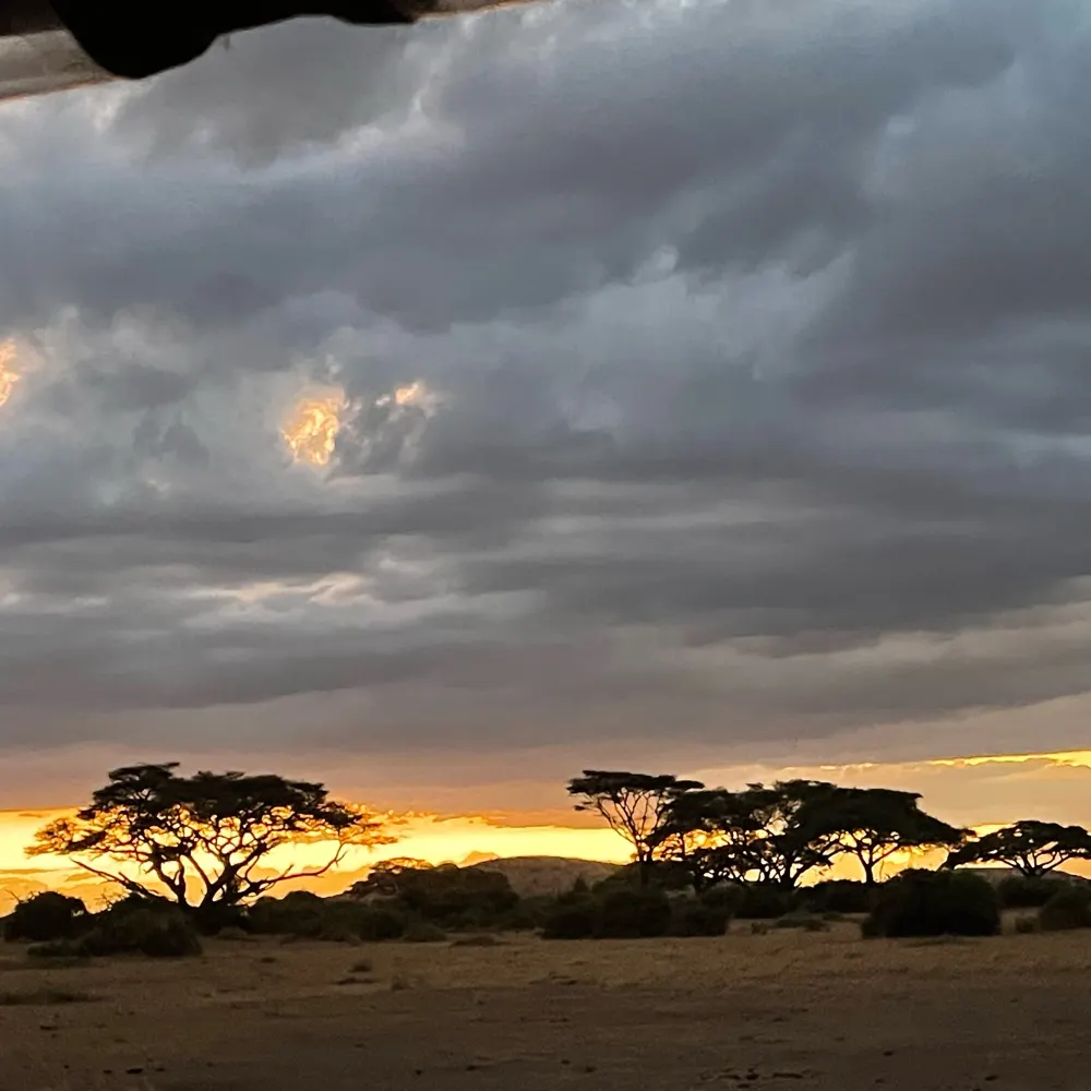 kivagirl1.bsky.social's profile picture