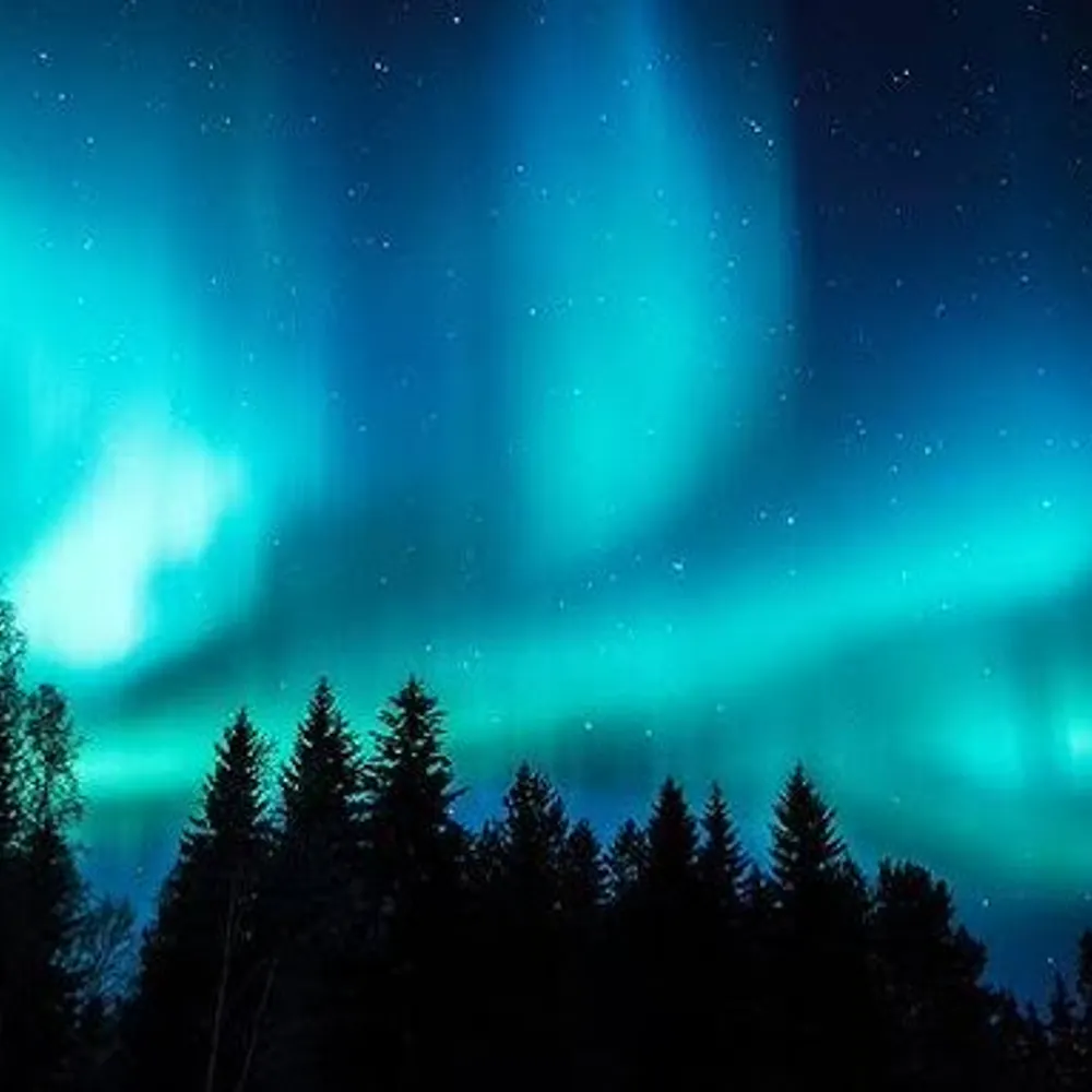 emperorcheese.bsky.social's profile picture