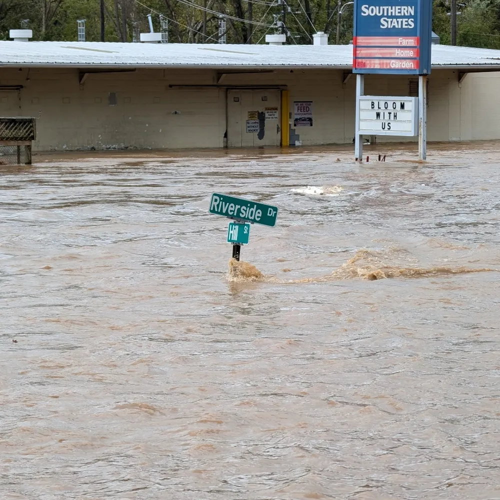 elmeroserg.bsky.social's profile picture