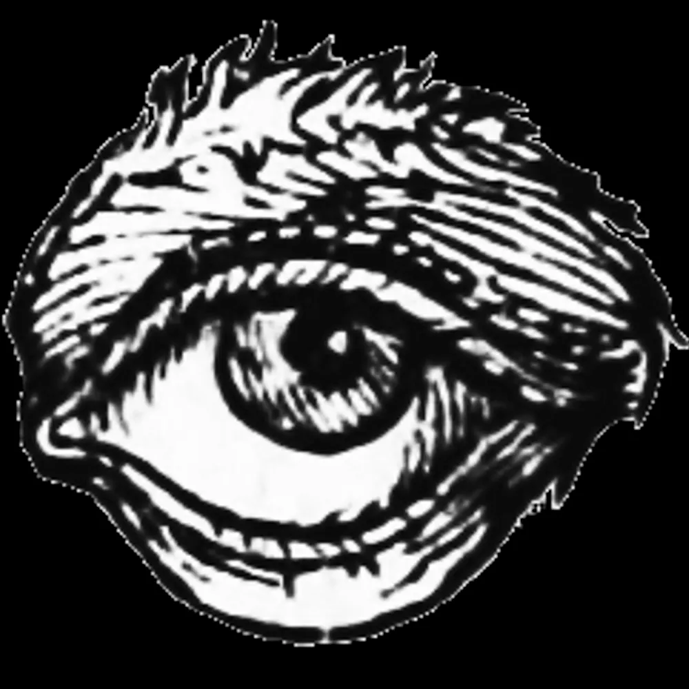 lostpages.co.uk's profile picture