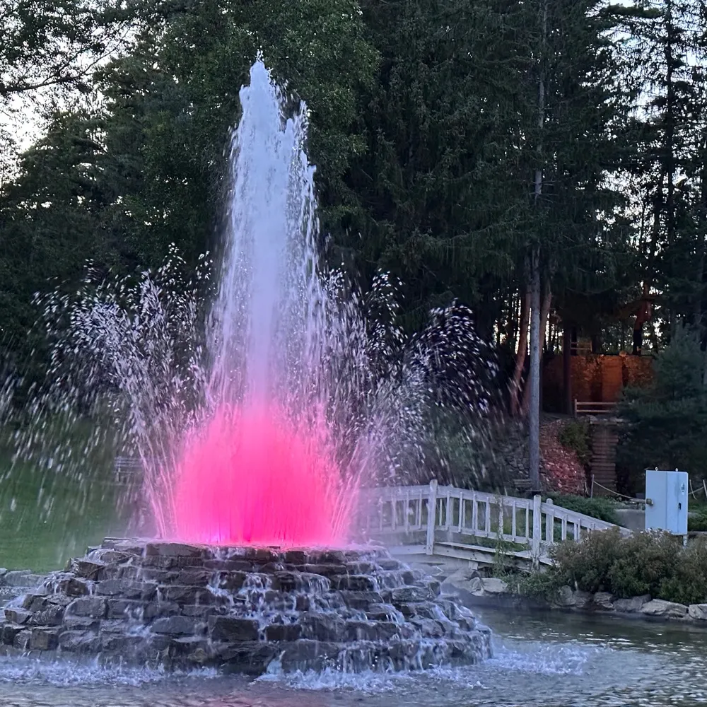 1smallspeck.bsky.social's profile picture