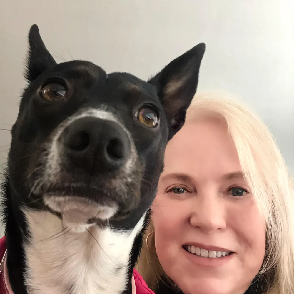 inadines.bsky.social's profile picture