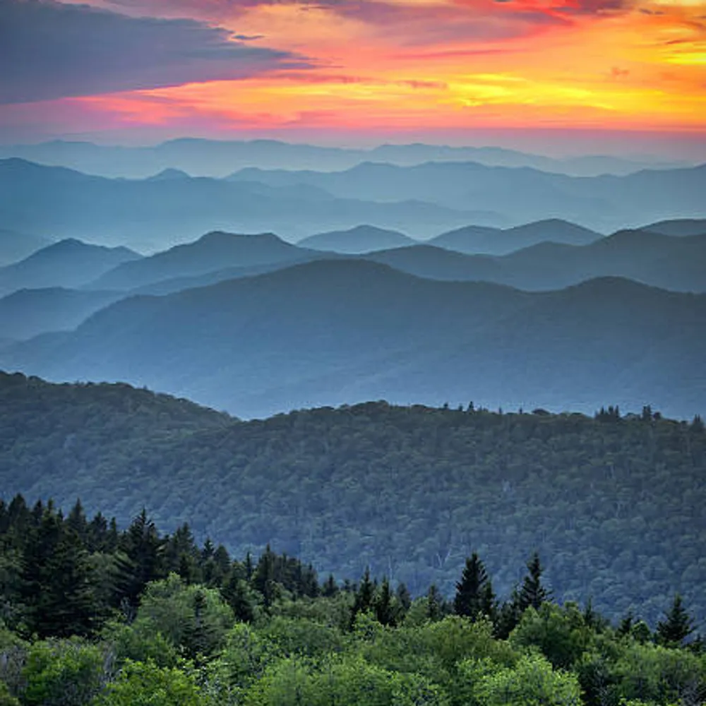 teemactoo7.bsky.social's profile picture