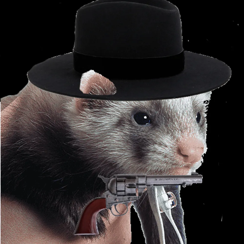 toreole.bsky.social's profile picture