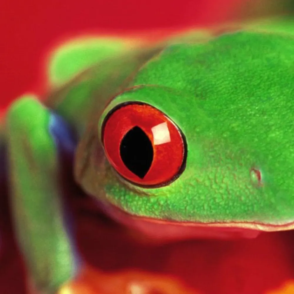 numbakrunch.bsky.social's profile picture