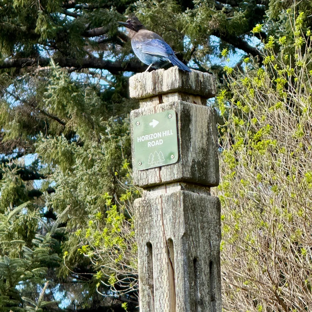 ctb.social's profile picture