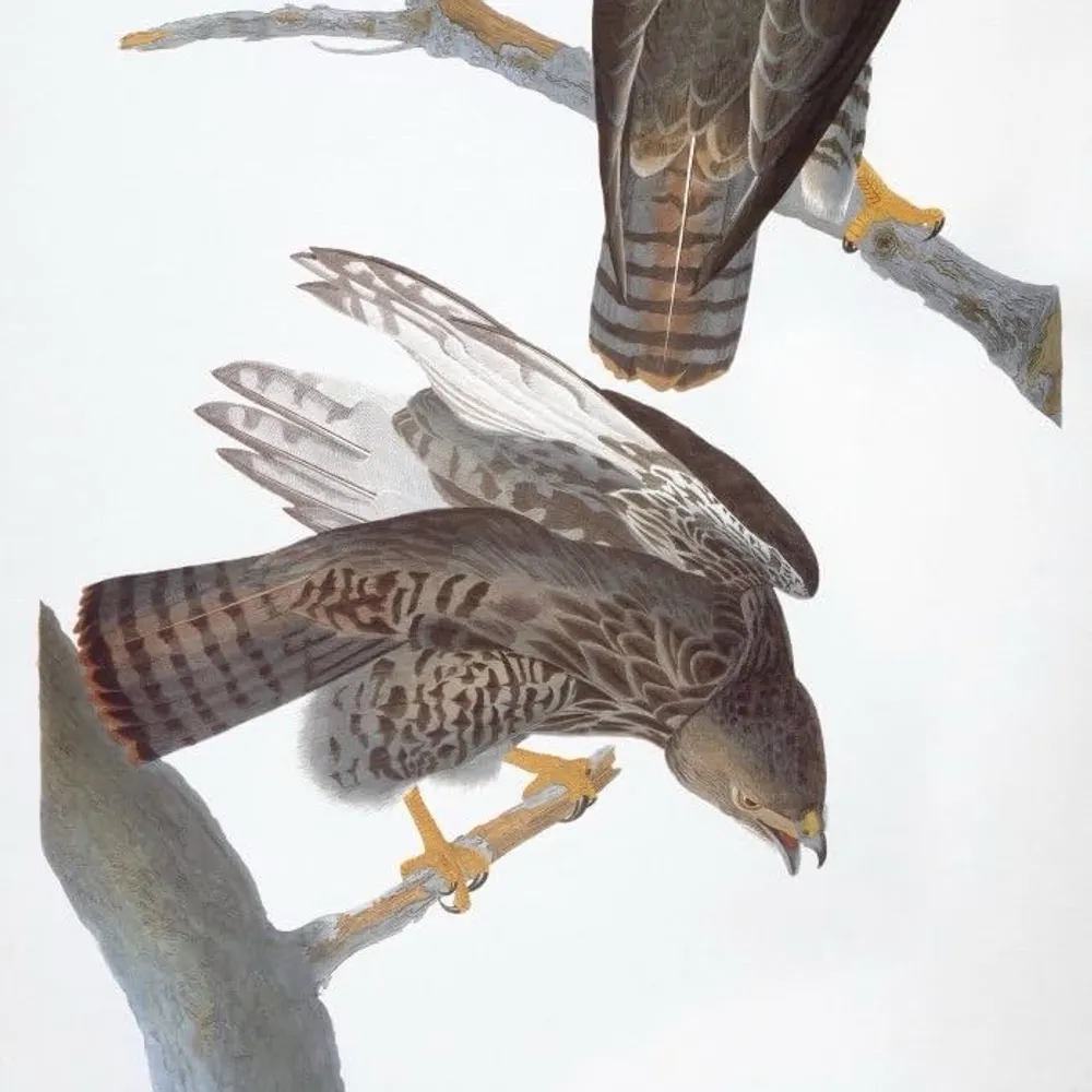 wrux.bsky.social's profile picture