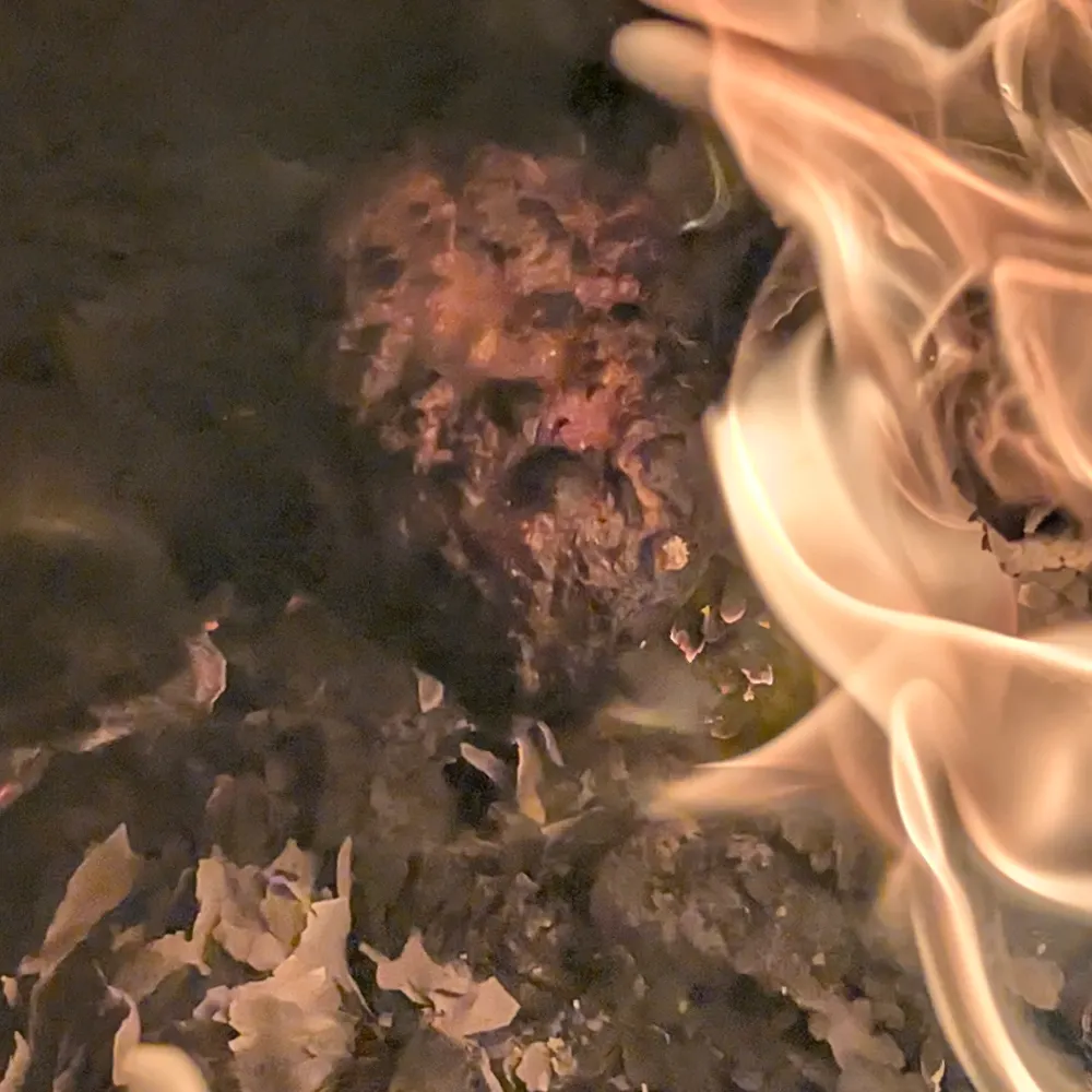 misumenavatia.bsky.social's profile picture