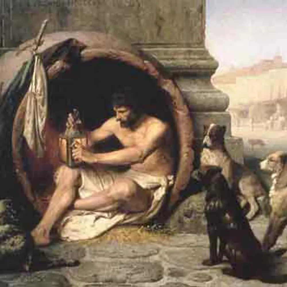 mallwitt.bsky.social's profile picture