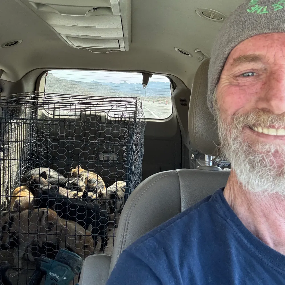 getghandi.bsky.social's profile picture