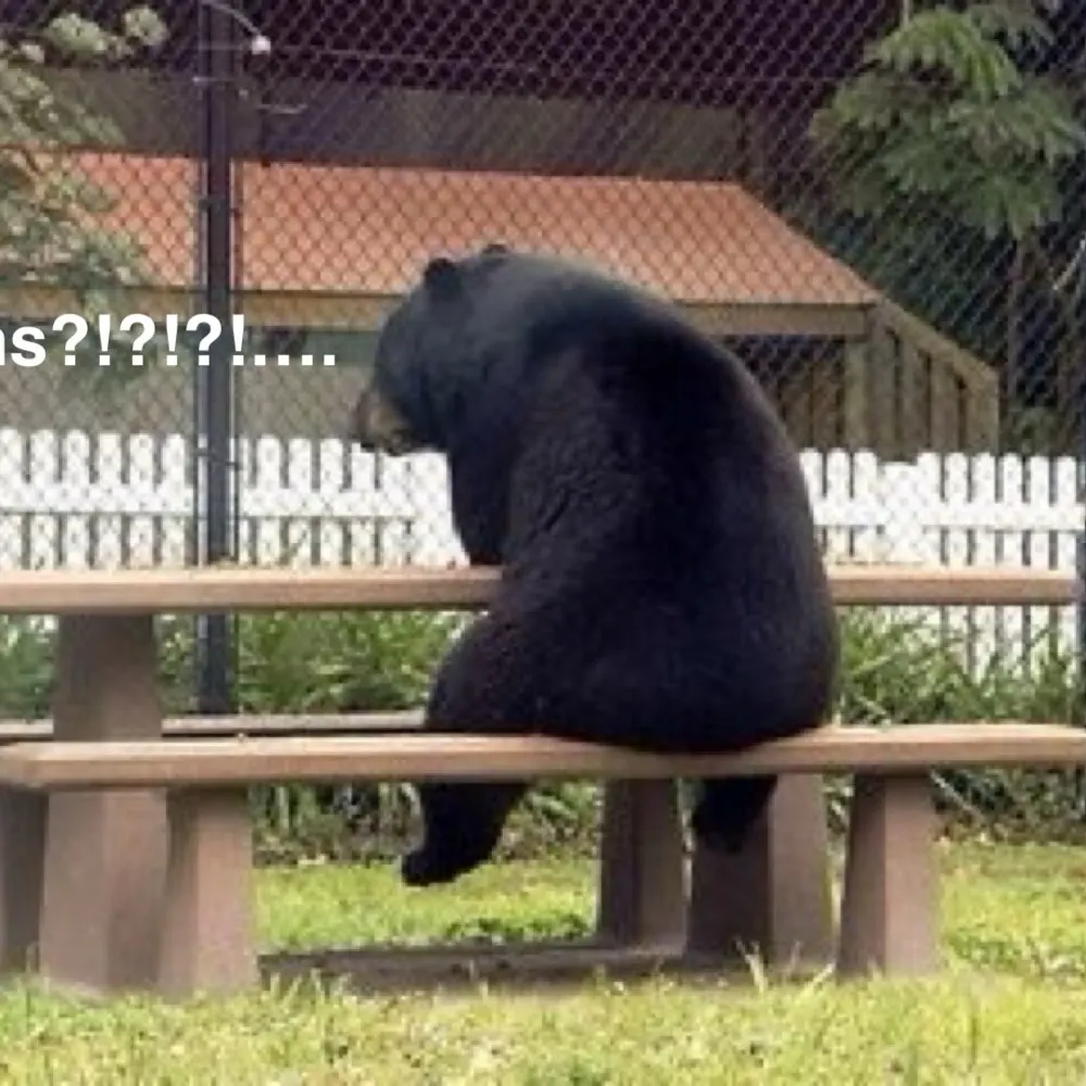 406hiker.bsky.social's profile picture