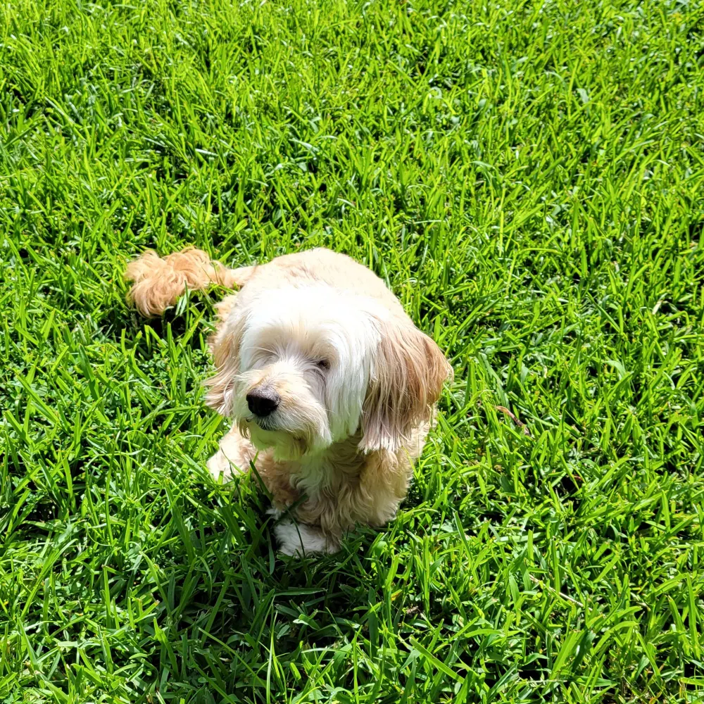 pl3justice.bsky.social's profile picture