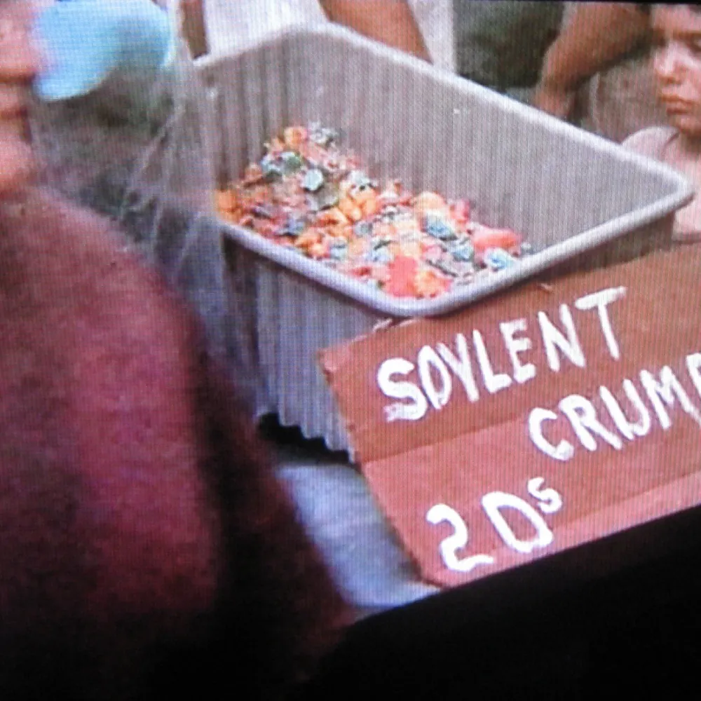 papabear333.bsky.social's profile picture