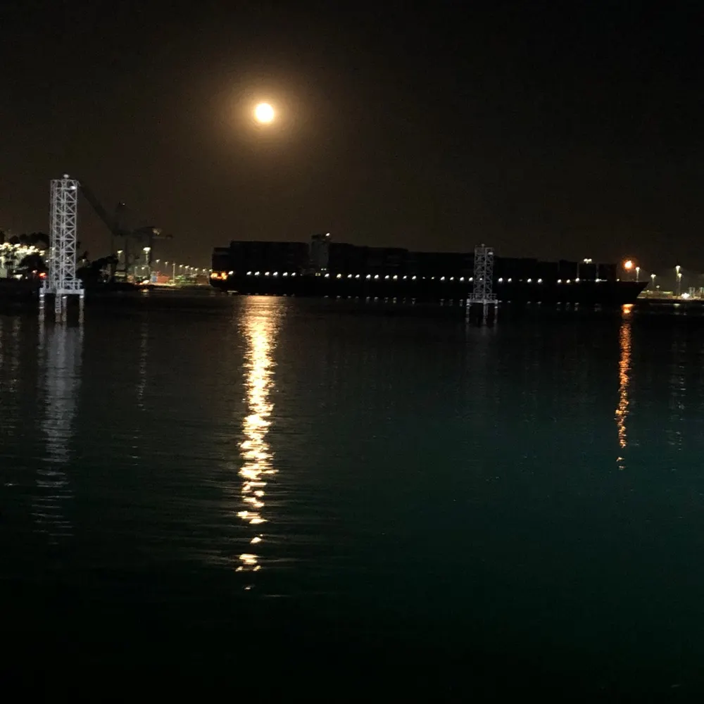 piperzoe.bsky.social's profile picture