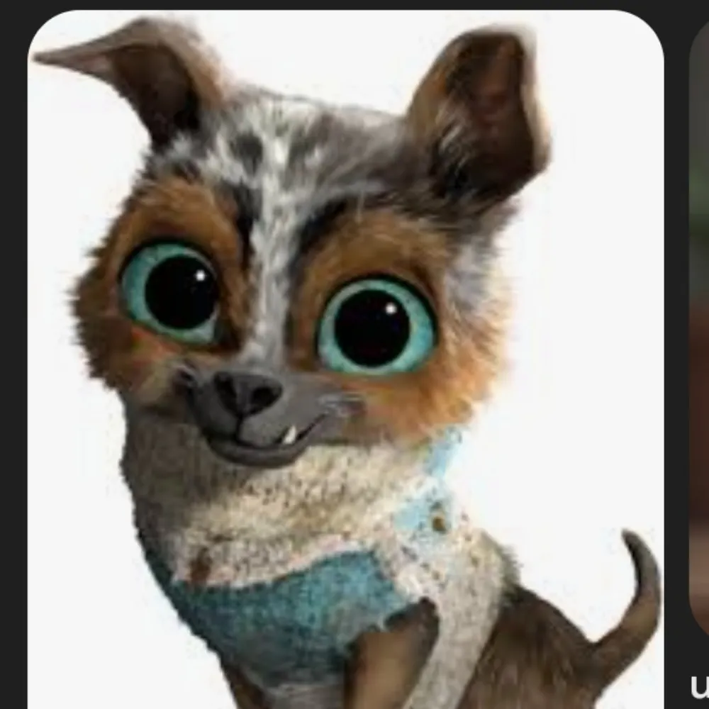 escperrito.bsky.social's profile picture