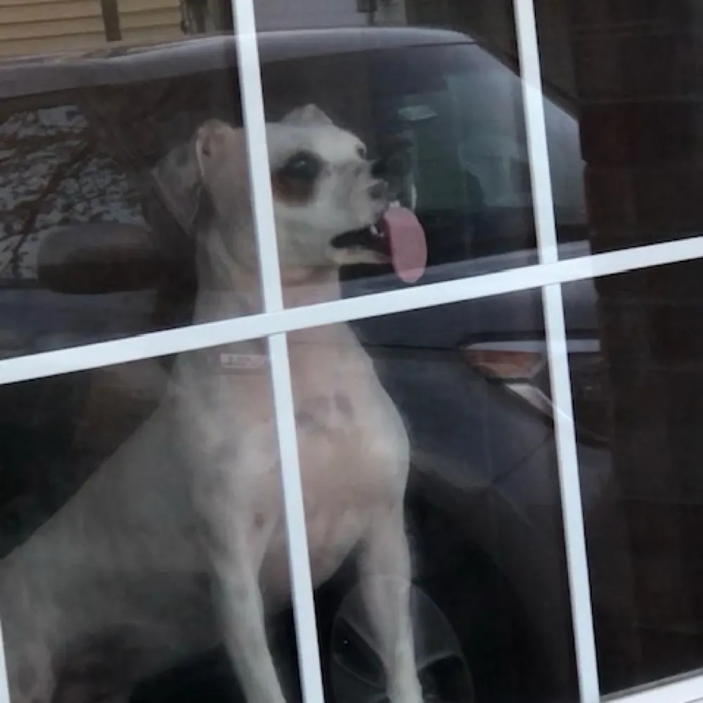 walt1950.bsky.social's profile picture