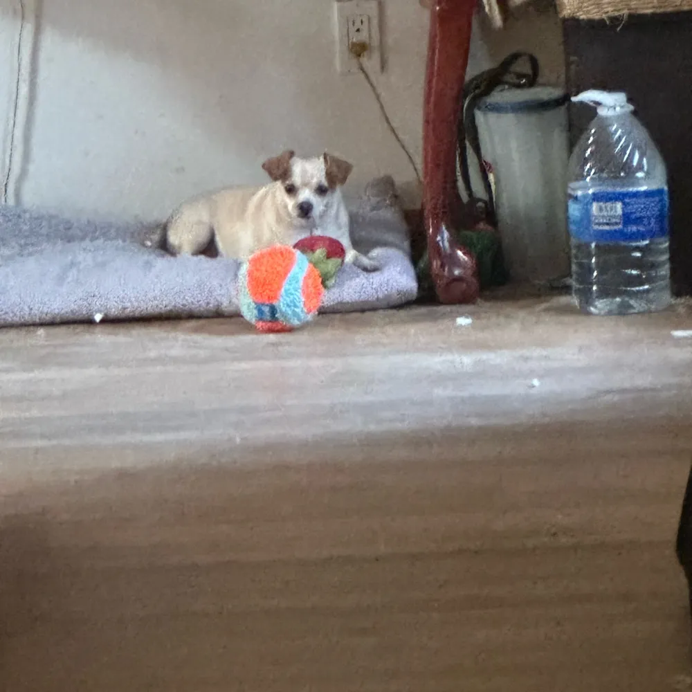 hookares33.bsky.social's profile picture