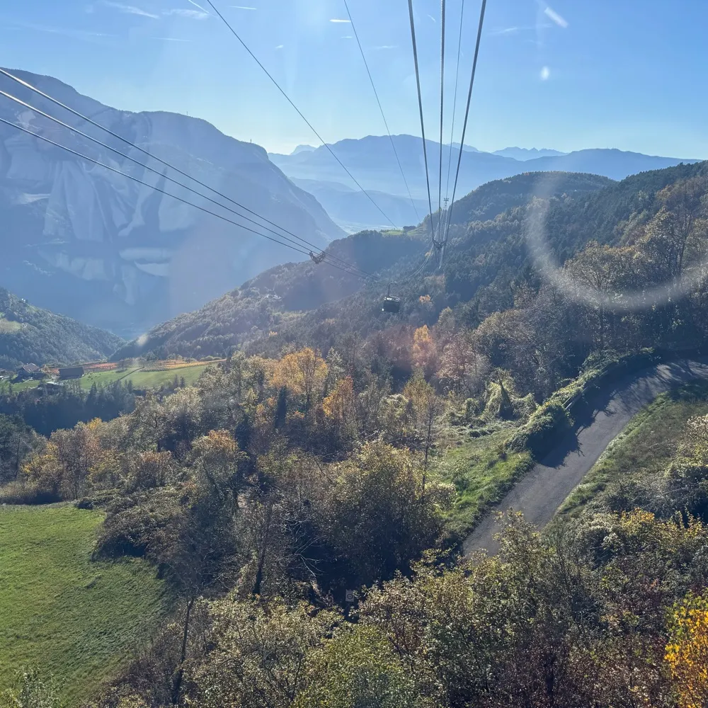 asteria12345.bsky.social's profile picture