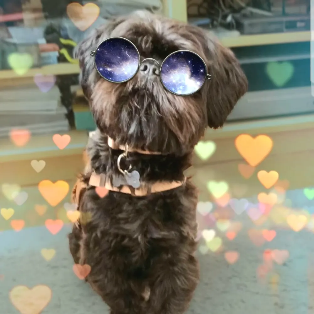 cbchitown.bsky.social's profile picture