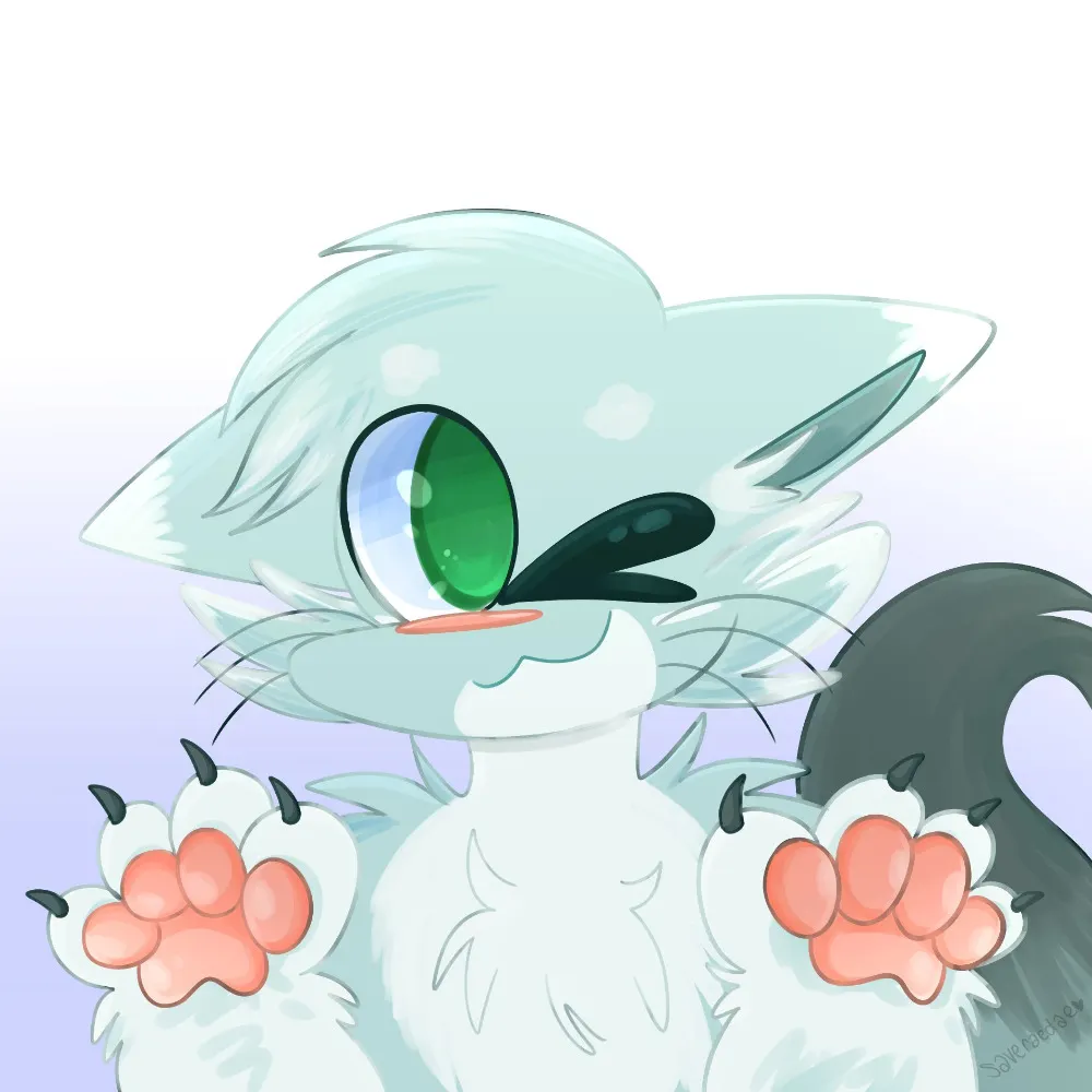 sockynoob.bsky.social's profile picture