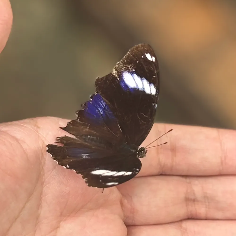 yongmoore.bsky.social's profile picture