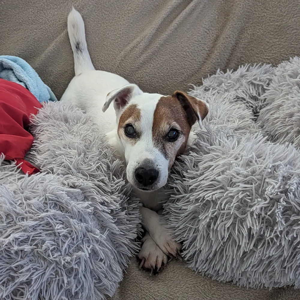 makramd.bsky.social's profile picture