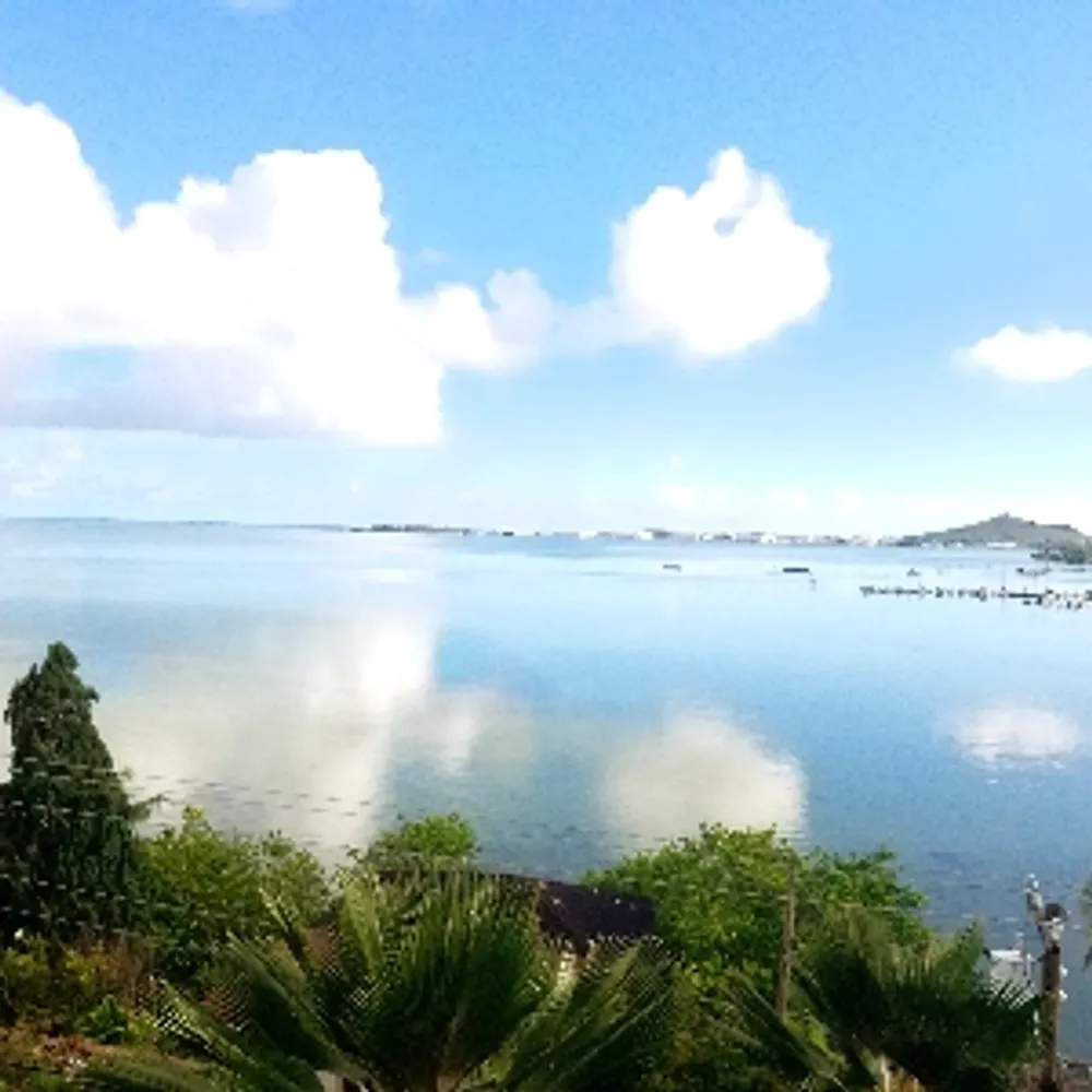 sageboomer.bsky.social's profile picture